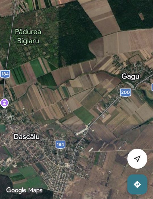 Vand teren intravilan 5000 mp comuna Dascalu, ocazie
