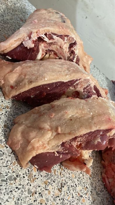 Семіз Қашар Еті “Қостанай-Рудный”