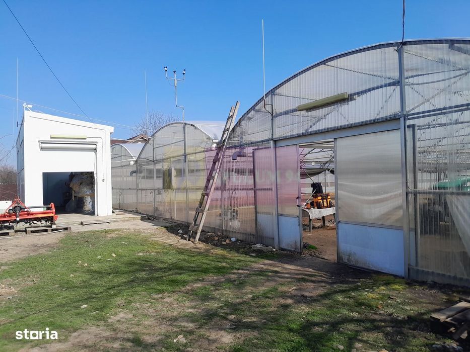 Vanzare Teren 3100 Mp - Sat Rosiori (Il)