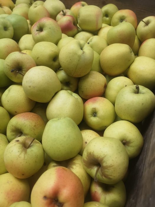 De vanzare! Mere, cartofi, ceapa galbena, ceapa rosie, varza