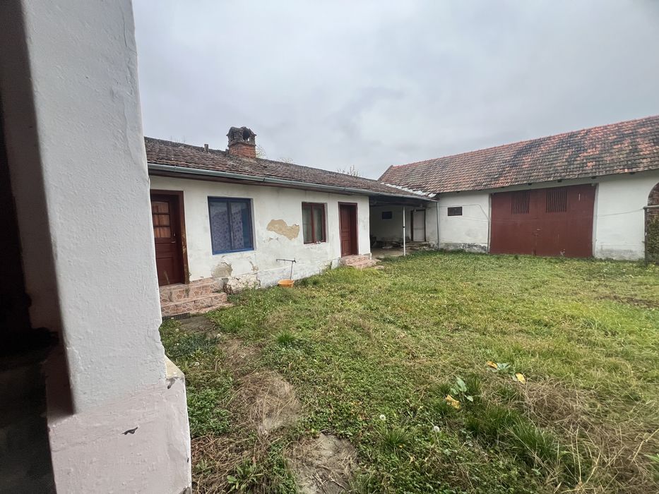 Casa individuala 5 camere/ 1.439mp , curte, mobilata, Sintesti Timis