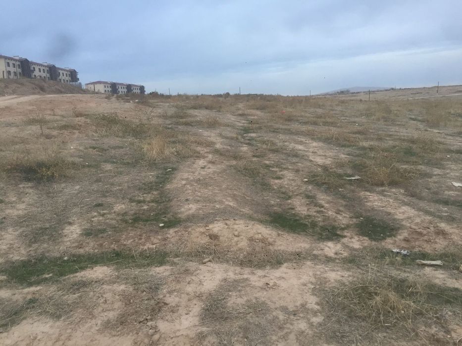 Сарагач кашарда Жер сатыдад