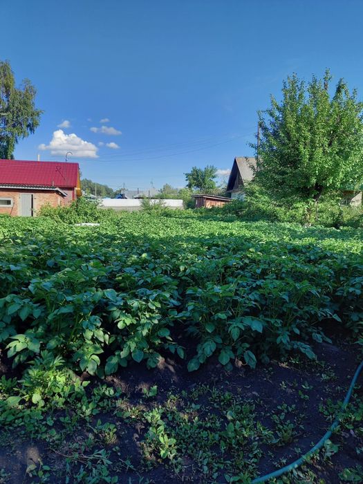 Продам дачу на Мирном