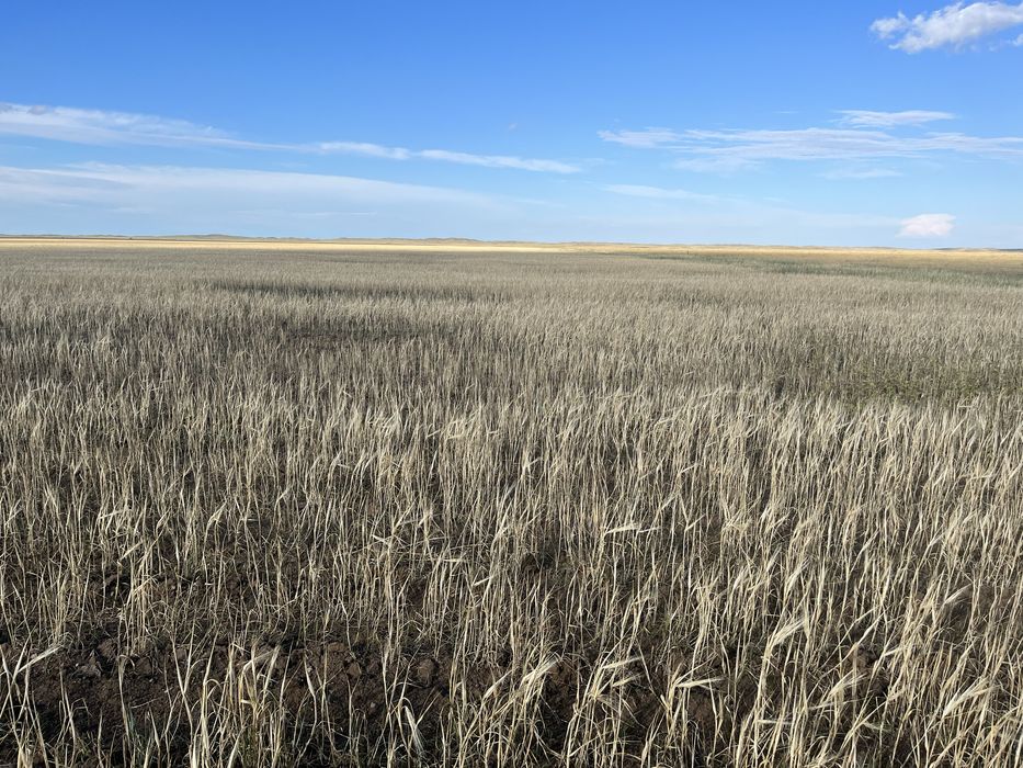 Земли сельхоз назначения