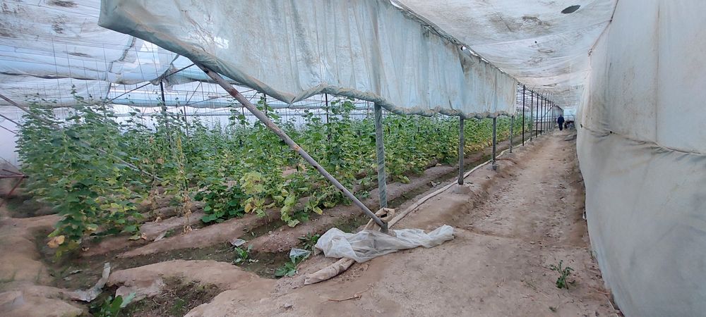 Tayyor bisnes.  Uy joy