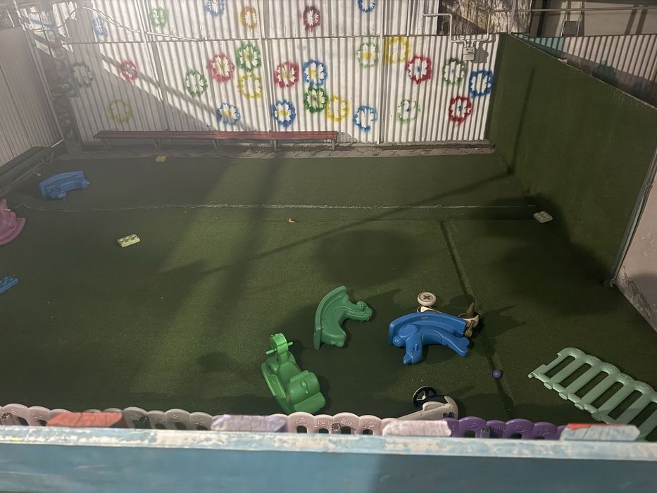 Газон хорошего качества