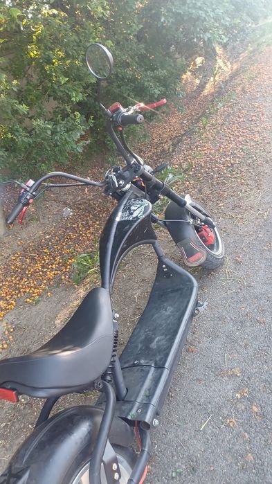 Scuter electric chopper