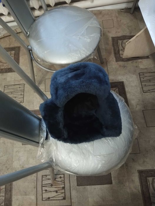 Құлақшын сатылады жана