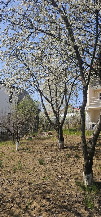 PF vand (schimb cu apartament + diferenta)vila individuala P+1+M , 1000 mp teren,VISAN