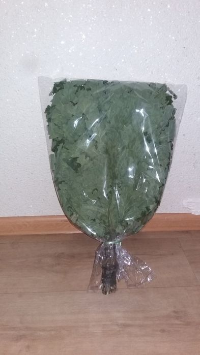 Веник для бани из дуба