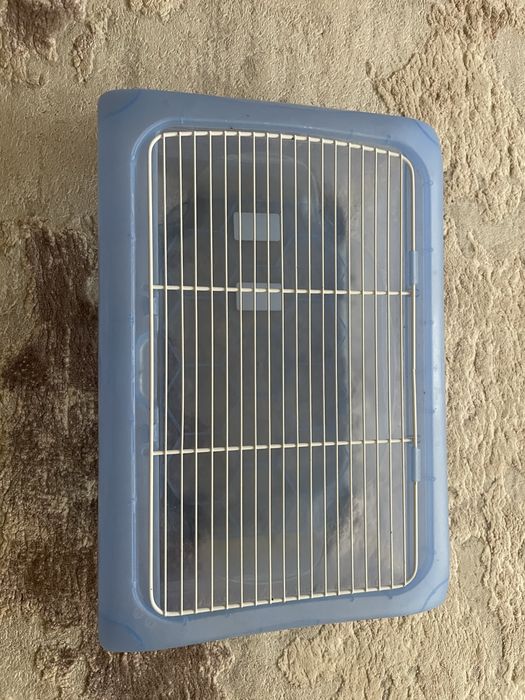 Acvariu broasca testoasa