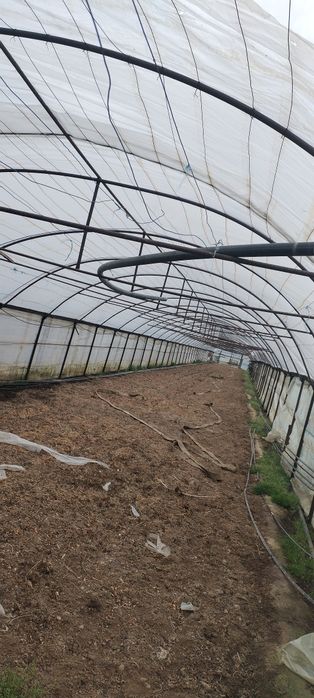 Vand Solar complet 100x6,5 metri