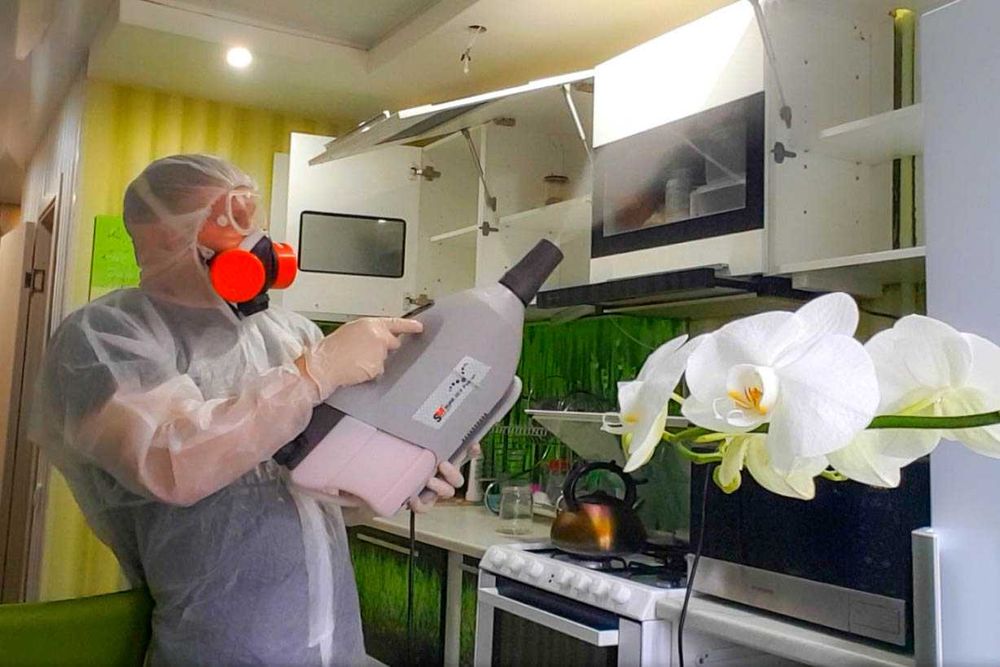 Kloplarga qarshi dezinfeksiya Toshkentda | hidsiz, 3 yilgacha kafolat