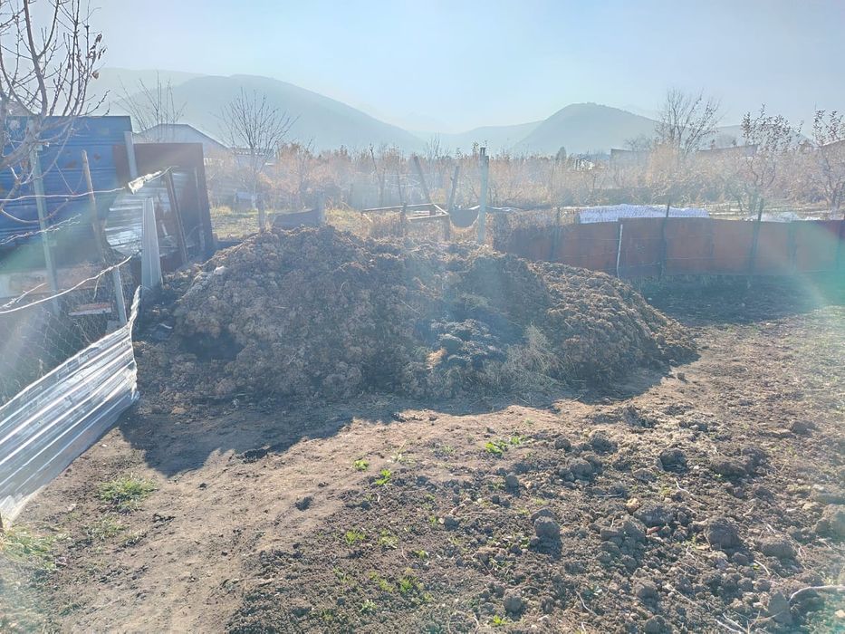 Одам навос даром. Сомавывес.  навос чистый