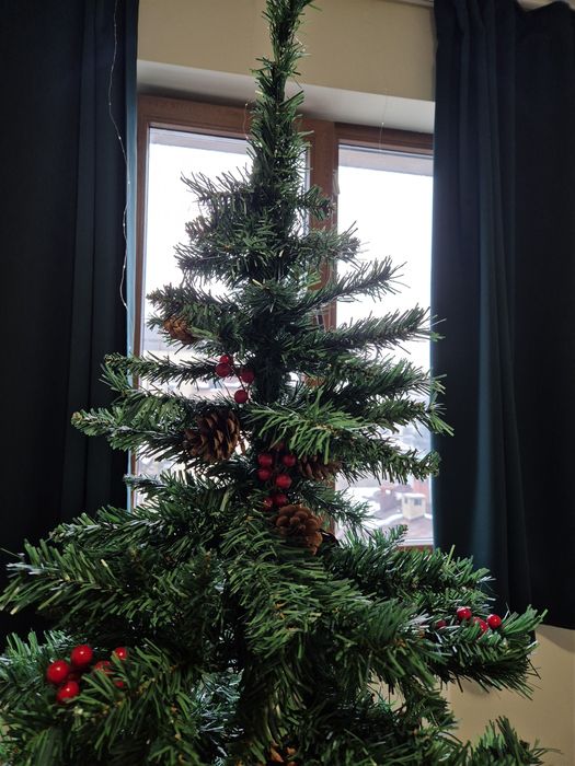 Коледно дърво. .