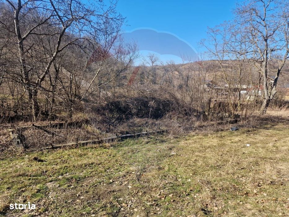 Teren de Vânzare în Pâncești (Sascut)