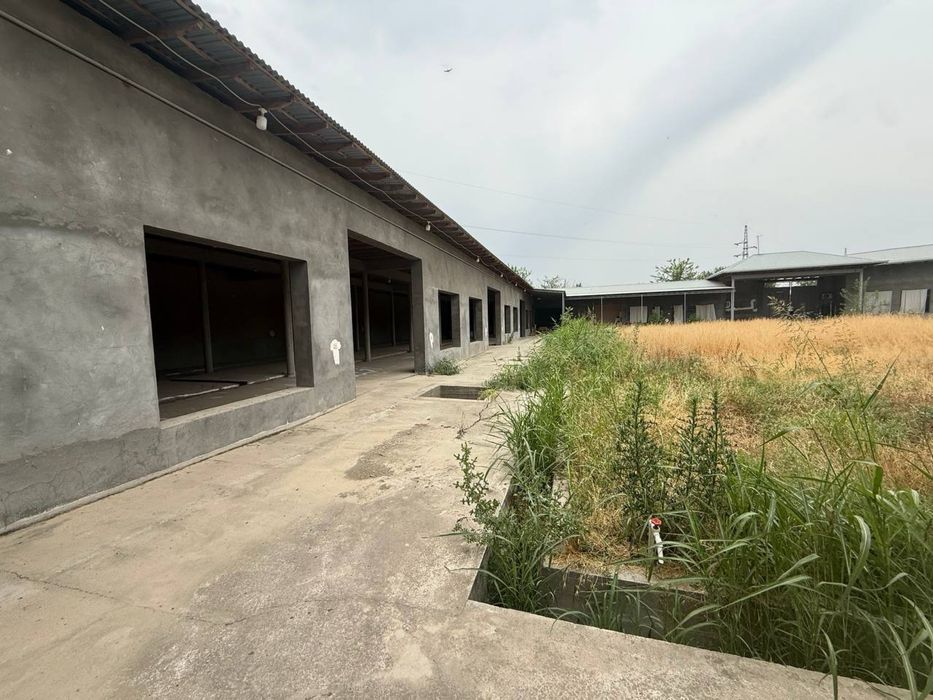 Продается новая Ферма (г. Янгиюль)