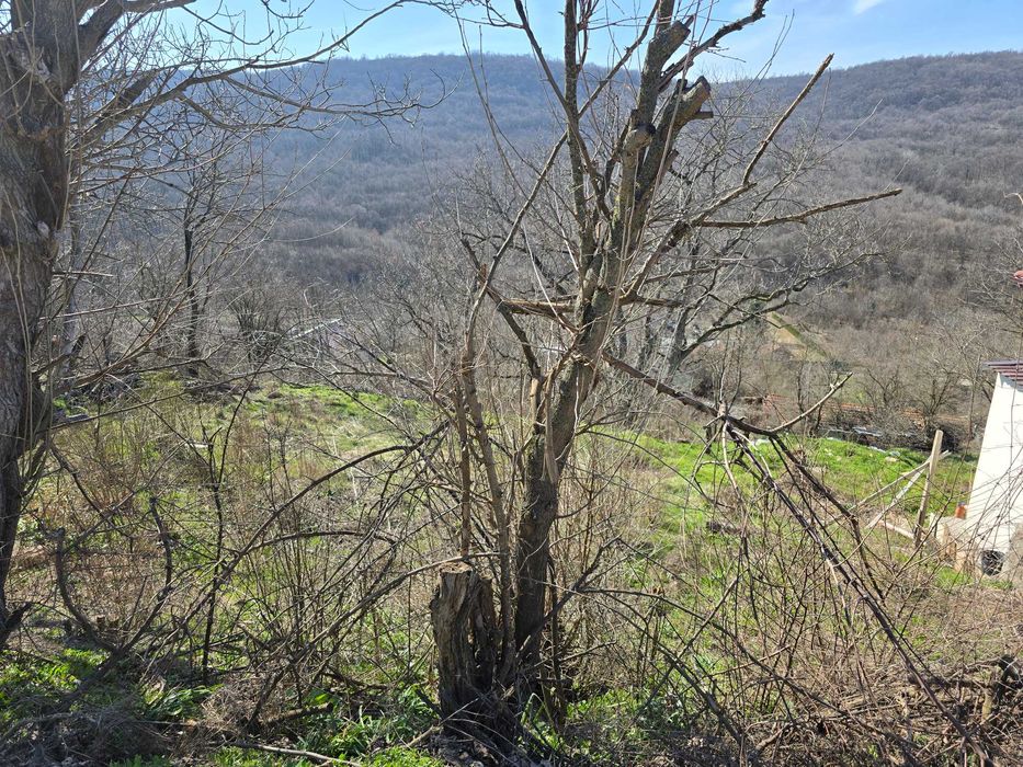 Парцел в Малки чифлик