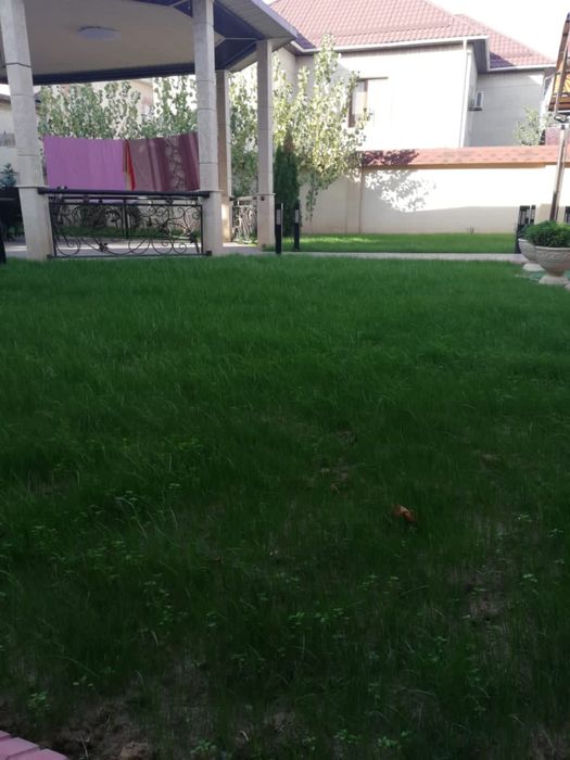 Автополив и Газон