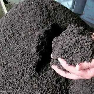 Biyagomes Optim Narhlarda