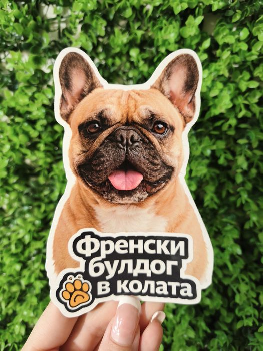 Стикери за кола - куче/котка в колата - различни породи, UV защита