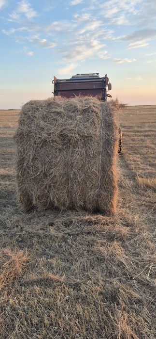Продам сено в рулонах
