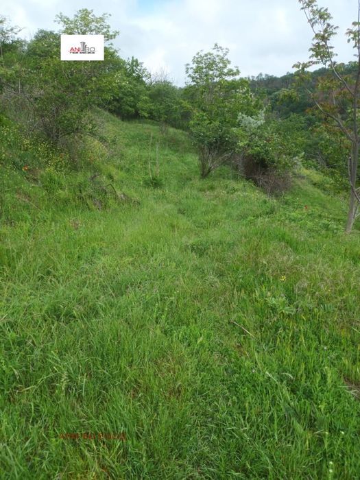 Парцел в Варна-м-т Балам Дере площ 911 цена 47000