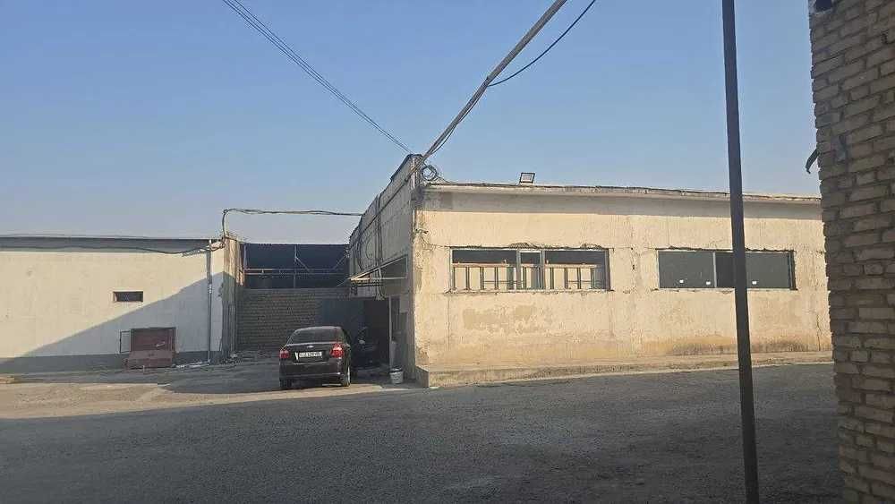 ARENDA Damariq 5000Kv