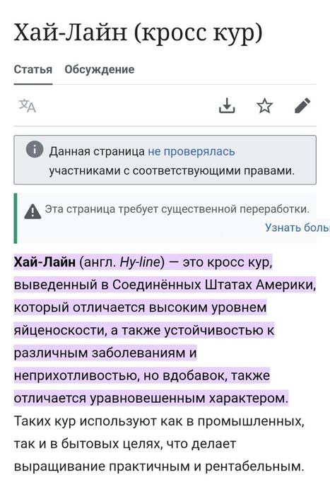 Цыплята 100 % курочки несушки Хай Лайн соня. Жужалар Jojalar