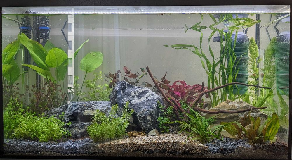 1 бр. LED осветление Eheim Light Classic 74 см