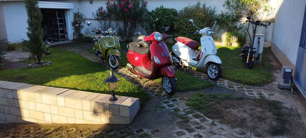 Znen Cruiser 50cc 4T Жабока на жена ми