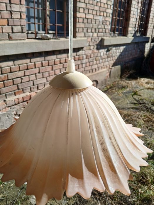 Полилей антика  два броя