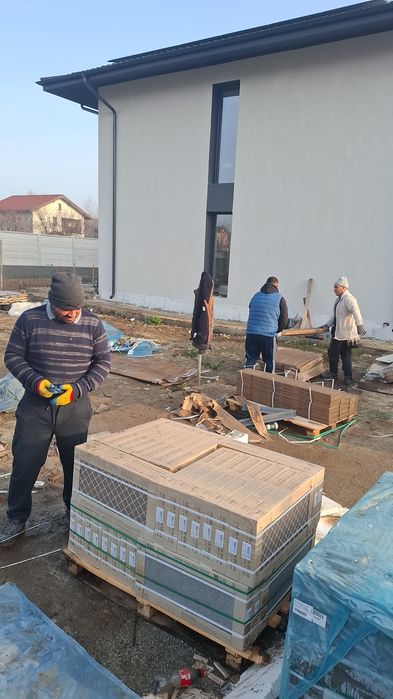 Igienizare apartamente,cantine,subsoluri,debarasari,evacuari,igenizari apartamente, curățenie generală în curte,reparații vopsit etc