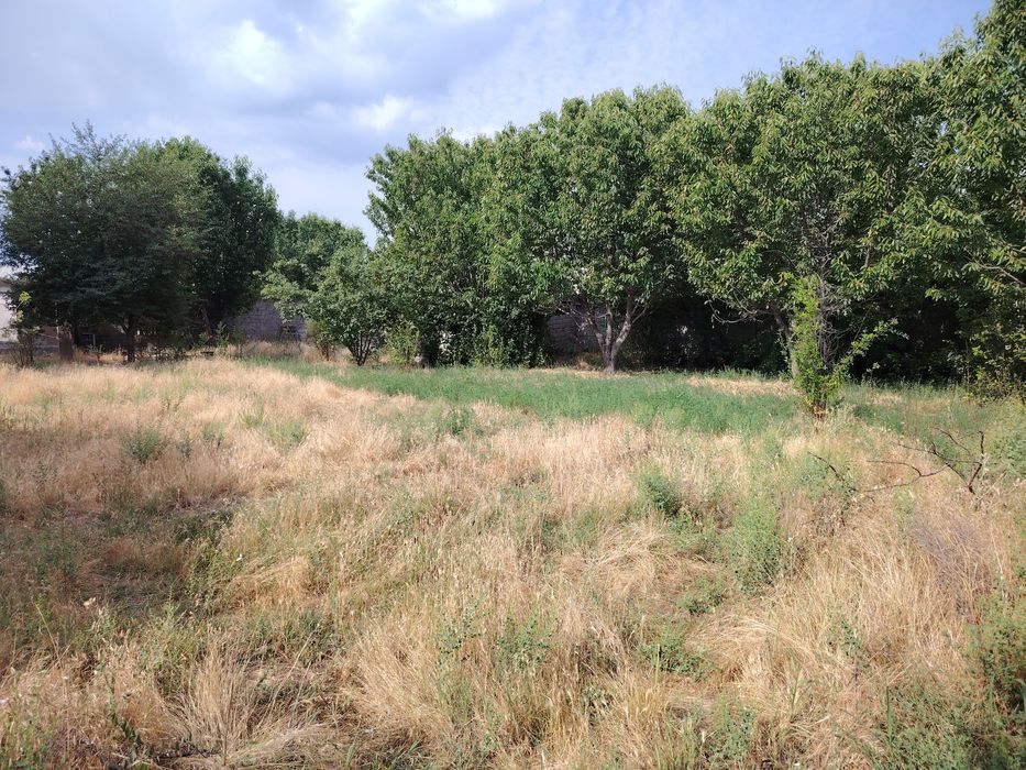 Янгийул тумандан ер сотилади 5 сотих