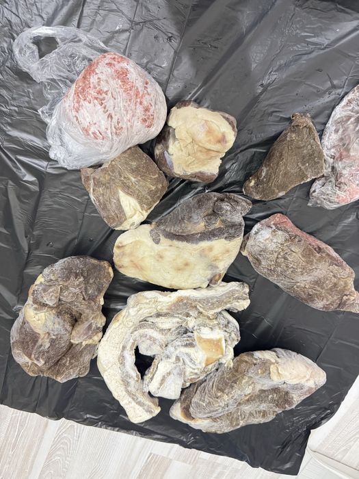 Конина, казы, фарш