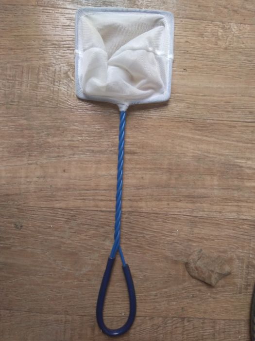 Minciog acvariu pesti (2 buc)