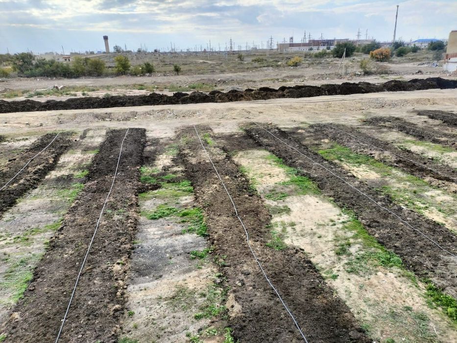 Биогумус природное удобрение