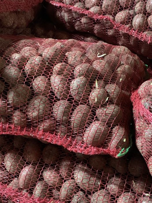 Avem cartofi de consum