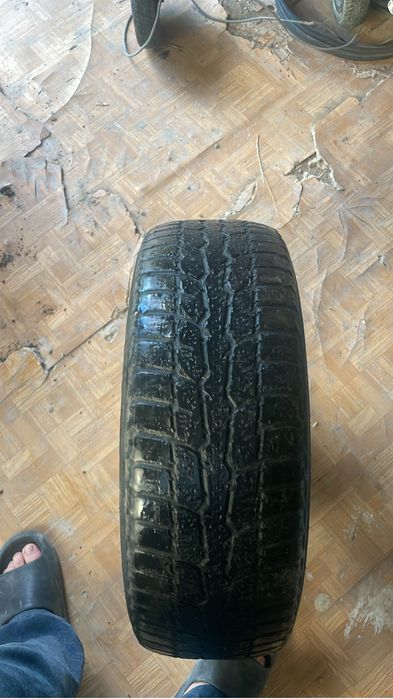 зимние шины не дорогие