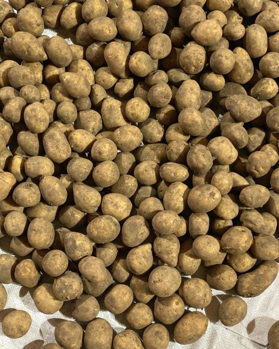 Семина сорт Гала