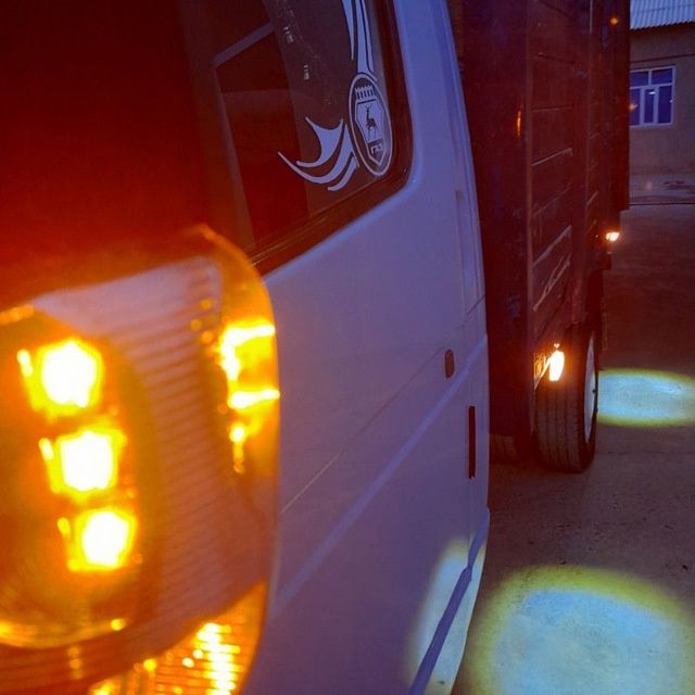 Gazel bartavoy sotiladi