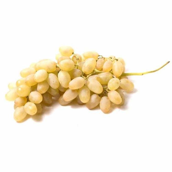 Optom Ko'chat | Nihol 100% garantiya