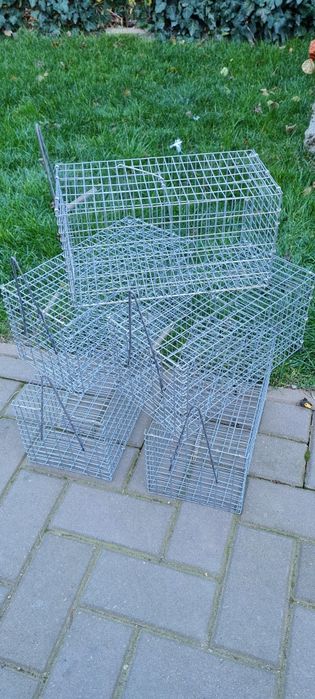 Capcana șoareci sau șobolani