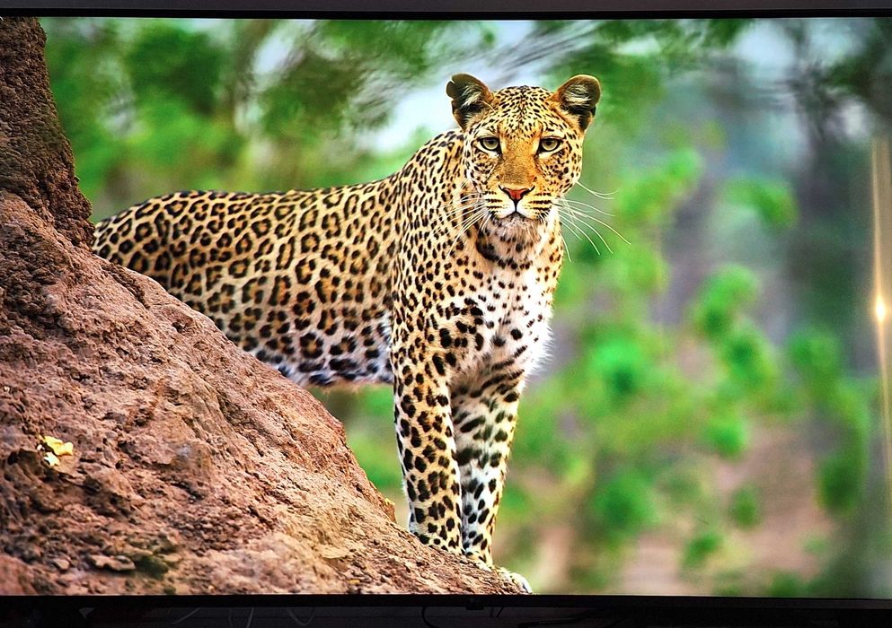 Pachet 3 Smart TV-uri 4K Impecabile (LG 164cm, Philips Ambilight 139cm, Sony 139cm) – Sau Individual