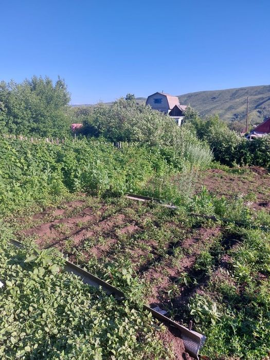 Продается дача в с/о Зеленый лог