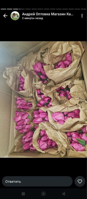 Тюльпаны в наличии