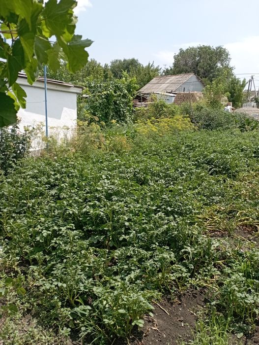 Продается дом за линией