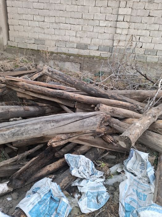 Utin sotiladi quruq va daraht ham bor