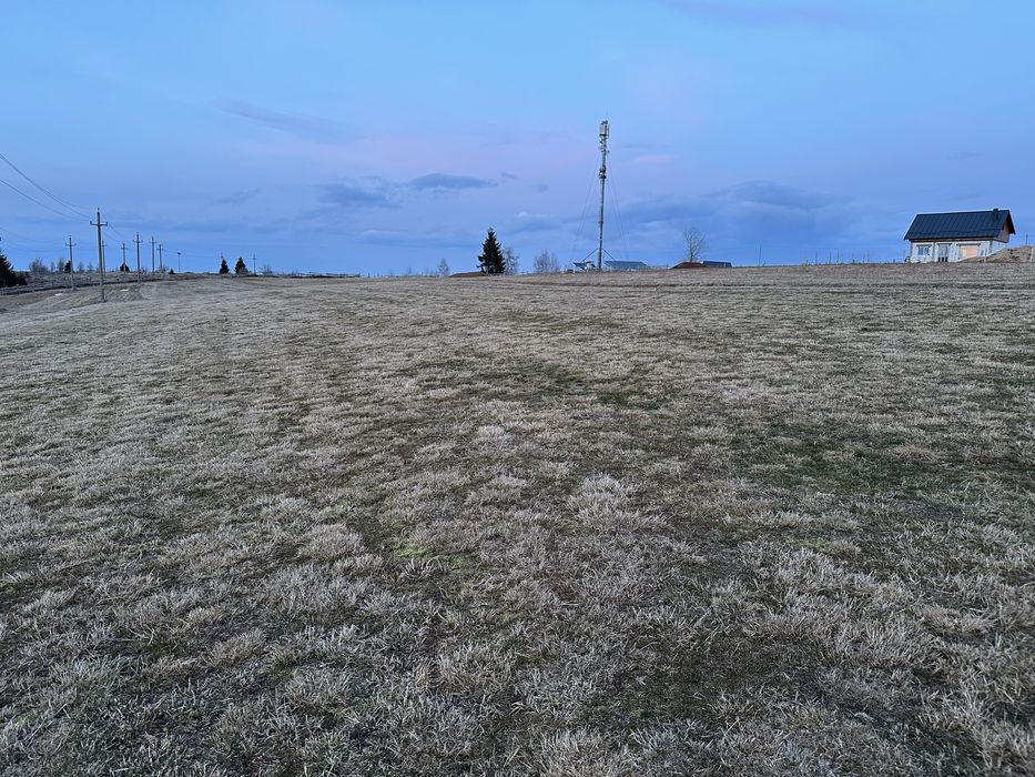 Teren in Marisel, Copcea aproape de partie