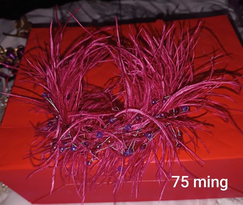 Tillaqosh va karonalar